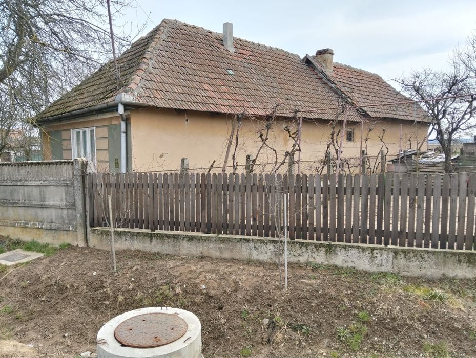 Vând casă veche în Nisipeni / Eladó régi parasztház Sandorhomok-ban