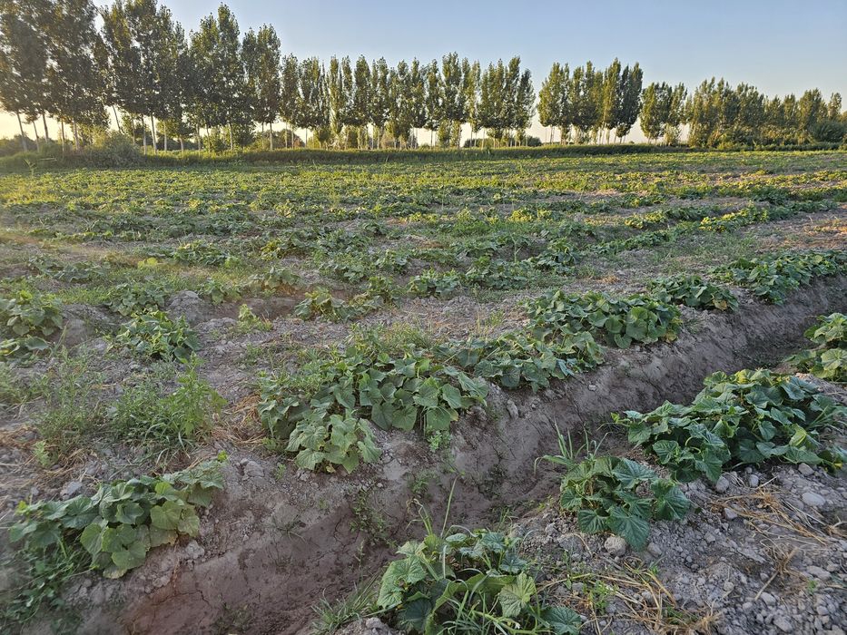 Продаётся  бизнес