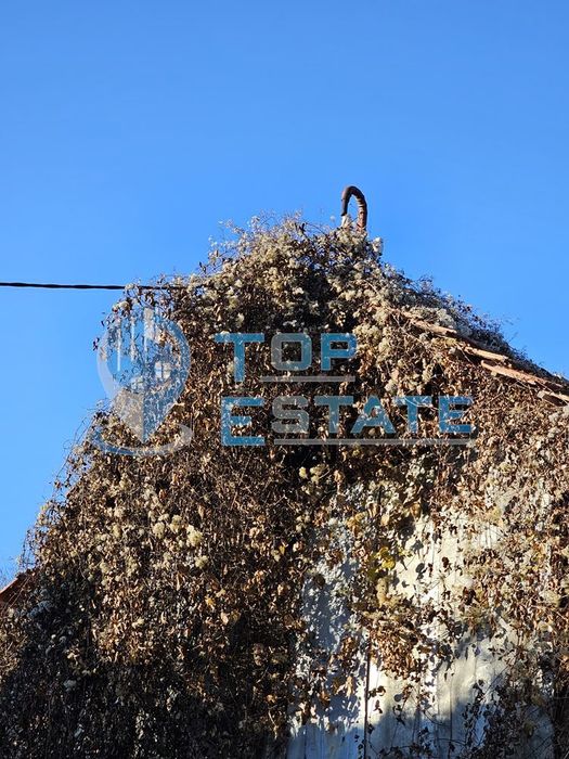 Продава се Парцел в Стражица - 650 кв.м за 12 €/кв.м - Снимка #7