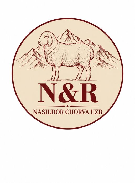 Arzon Narxa Logotip ( Logo ) yasash xizmati