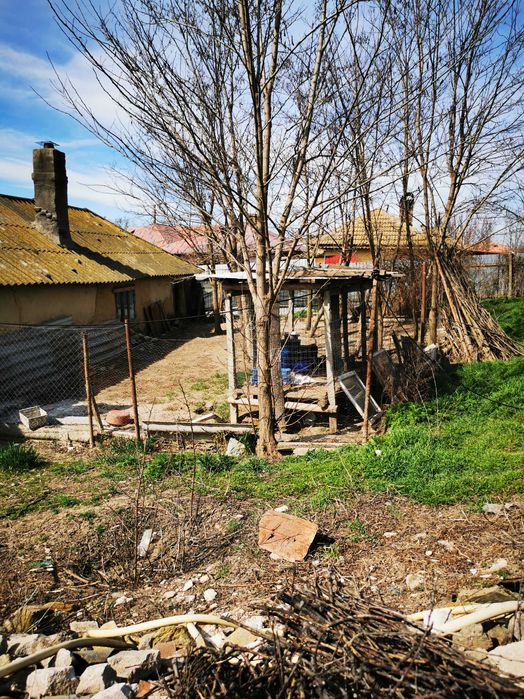Casa batraneasca cu teren