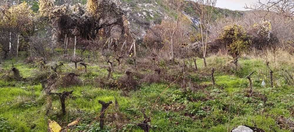 Продавам имот в м-т Баритна Мина