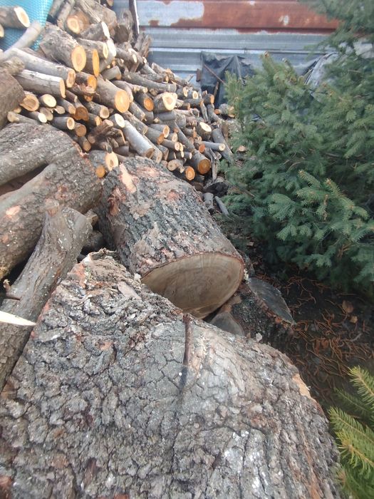 Продам дрова Яблоня