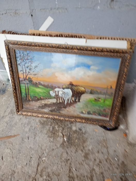 Vând tot ce se afla în aceste fotografii la prețul de 3500 de lei