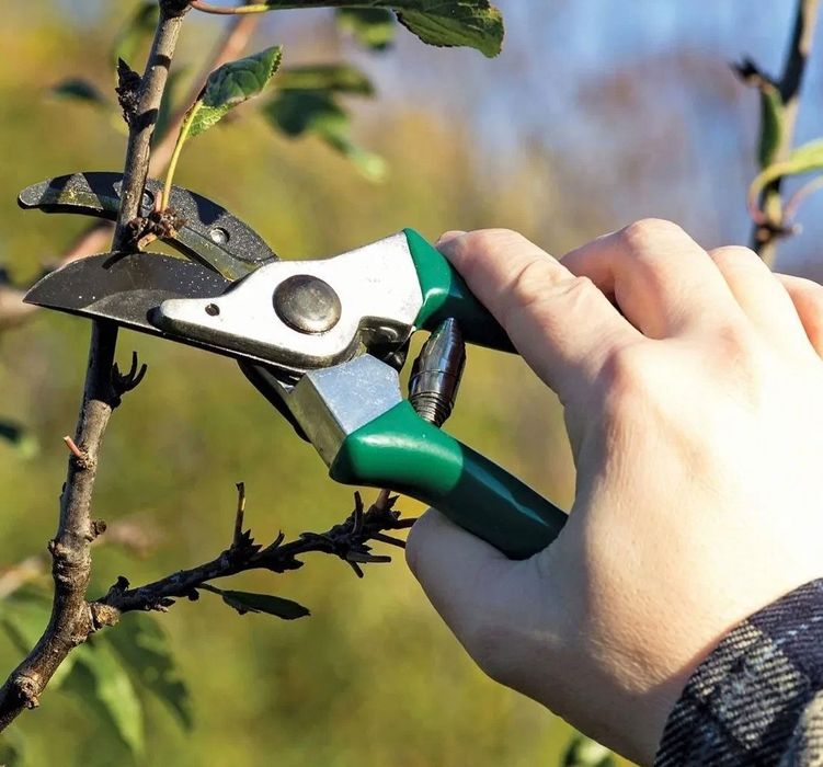 Услуги садовника  газон