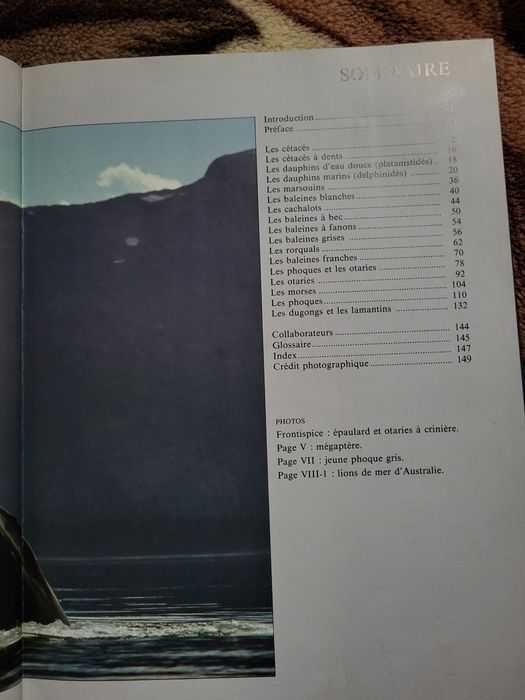 Carte ilustrată Les Mammifères Marins – 1986, France Loisirs
