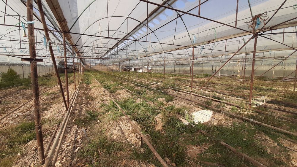 Продаётся теплица 15 сот