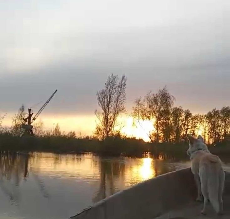 Дача на берегу Ишима