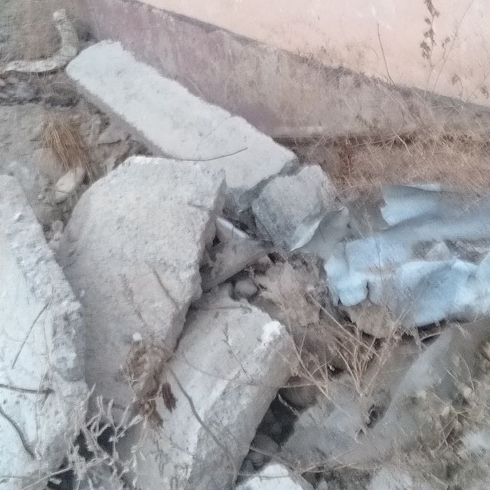 Блужник бетондар