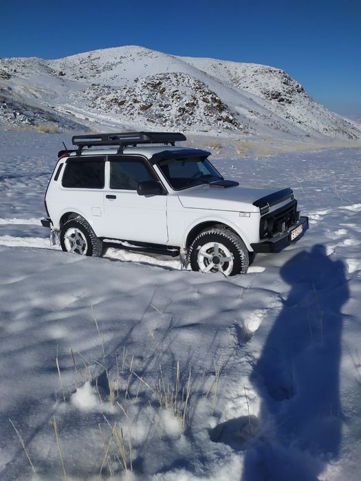 Сатылады нива состояние идеал