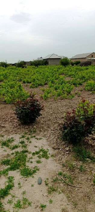 Учаска 20сотик+20сотик