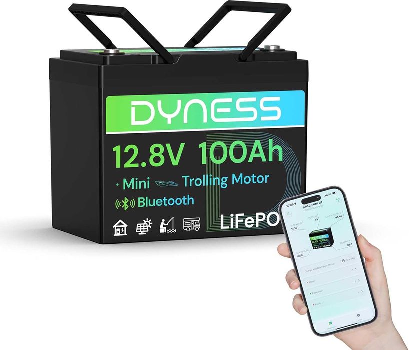 Dyness LiFePO4 12V 100Ah литиева батерия Bluetooth Mini със 100A BMS,макс. 15000 цикъла,12v LiFePO4батерия за каравани,лодки, соларни домашни системи