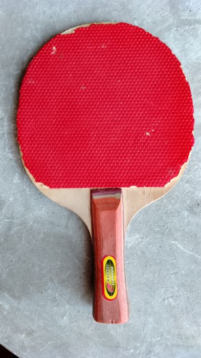 Paleta tenis de masa Lianhua