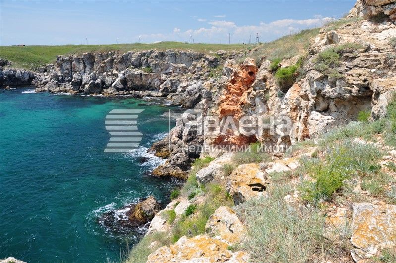 Продава се Парцел в с. Тюленово, Област Добрич - 6000 кв.м за 55 €/кв.м - Снимка #1