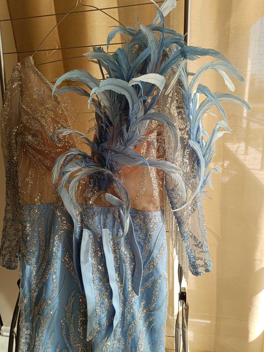 Официална рокля с пера