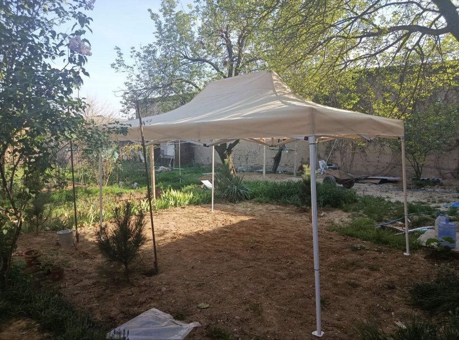 Naves  zontiklat optom dona narxlarda