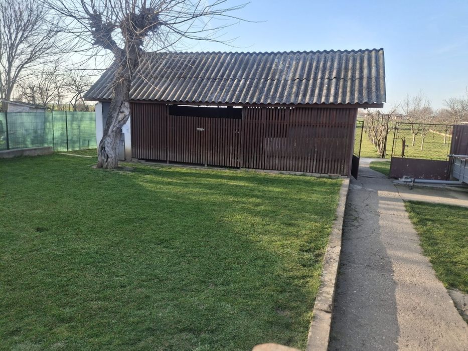 Casă 3 camere ȘOFRONEA