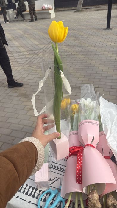 Продаем тюльпаны