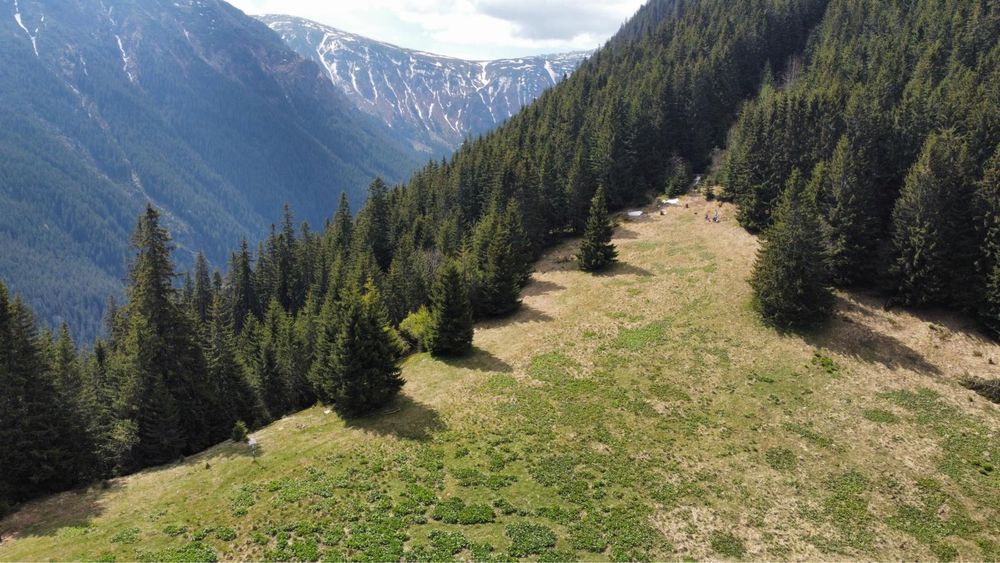 Teren intravilan cabana Urlea, munţii Făgăraş