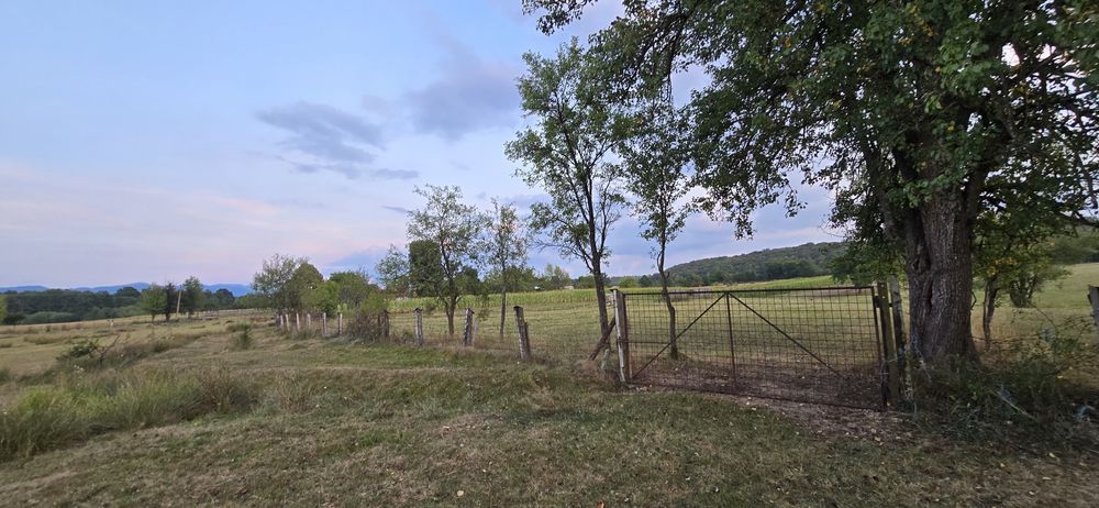 Teren de vânzare – Meziad, jud. Bihor – intravilan + extravilan | Zonă