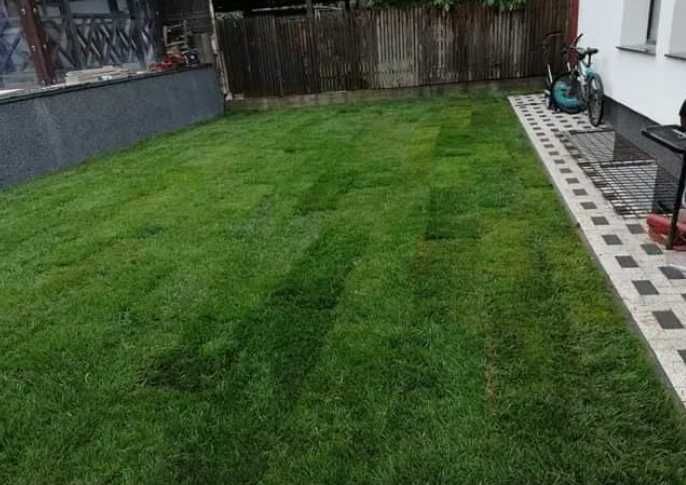 Gazon Rulou Direct pe Terenul Tău – Serviciu Complet și Rapid