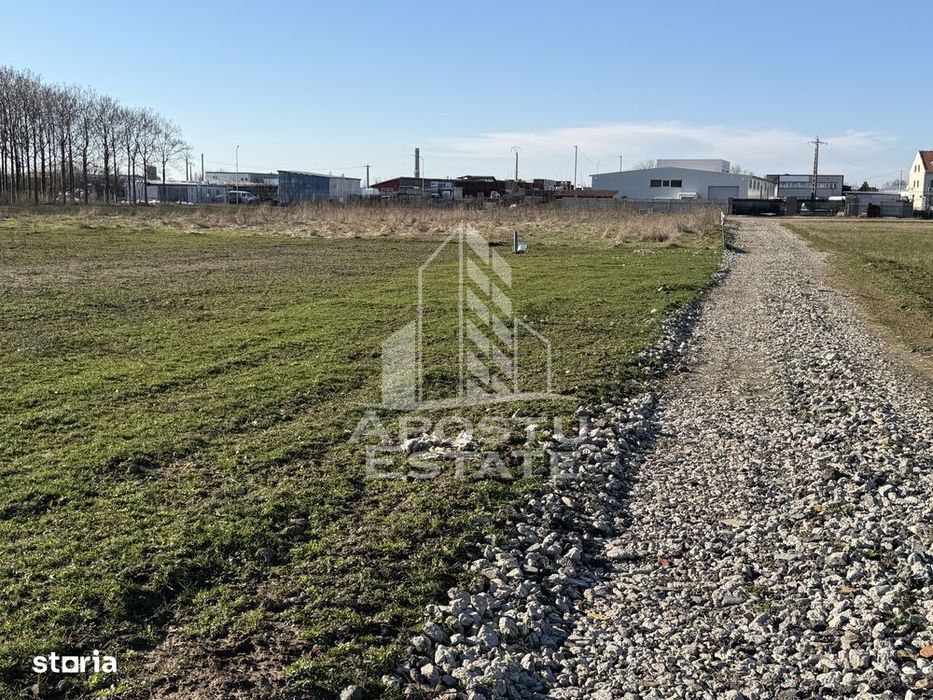 Teren pentru hala industriala, 1431 mp, Sagului- Ovidiu Cotrus