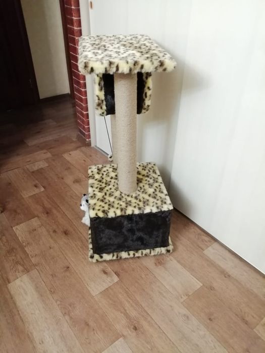 Шикарные домики для кошек