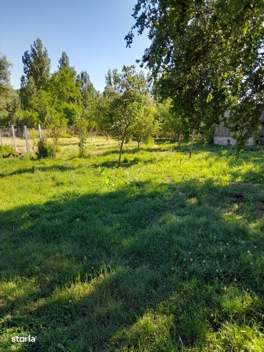 Casa renovata complet, 1800 mp teren, zona linistita in Cornita