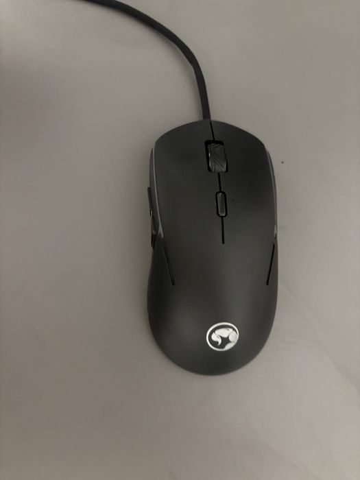 Mouse,casti,tastatura,boxe