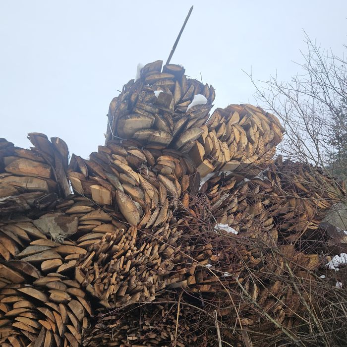 lemn foc desuri rășinoase brad