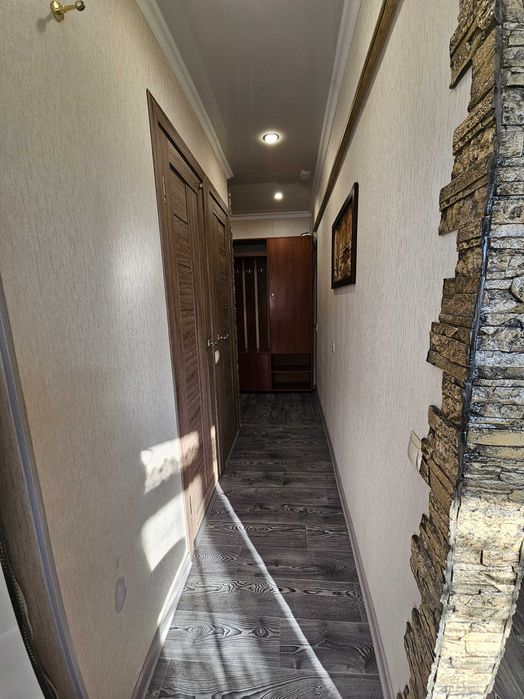 Евро люкс студия (Меркурий маг.)