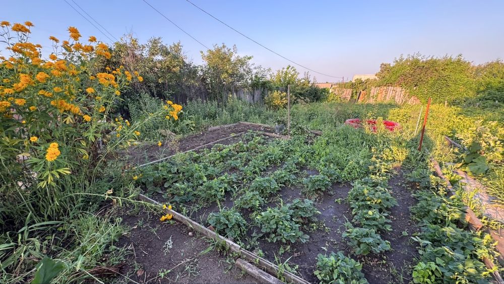 Продам дачу , 18 садовое общество