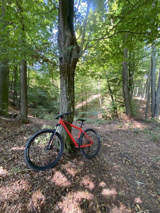 Bicicleta MTB Boardman 29 L