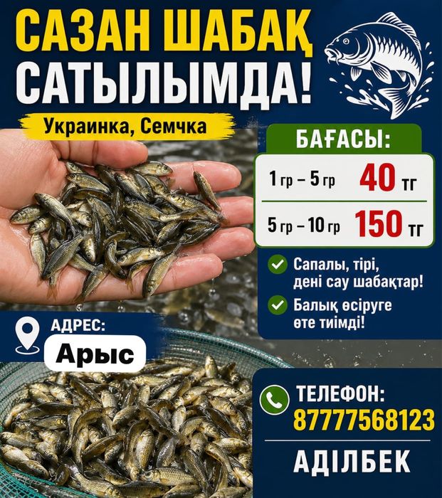 Карп сазан малек семечки, сеголетка личинка