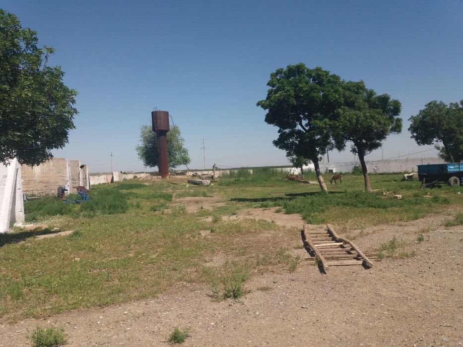 Yer 4.7 gektar molxona kompleks
