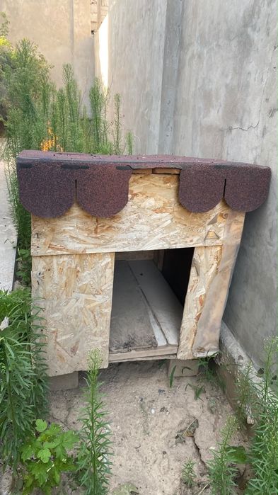 Иттің үйшігі, домик собаки