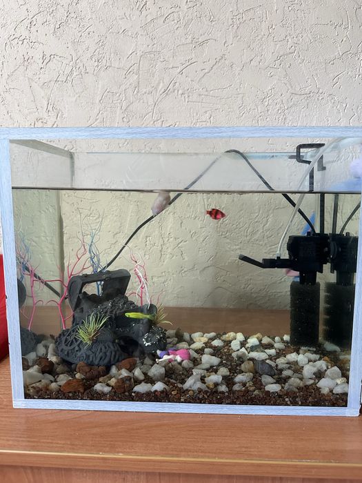 Продам аквариум