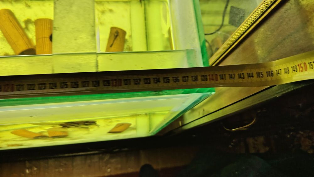 Akvarium sotiladi. 3 million som.