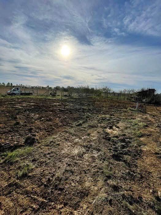 Teren extravilan strada Amatului