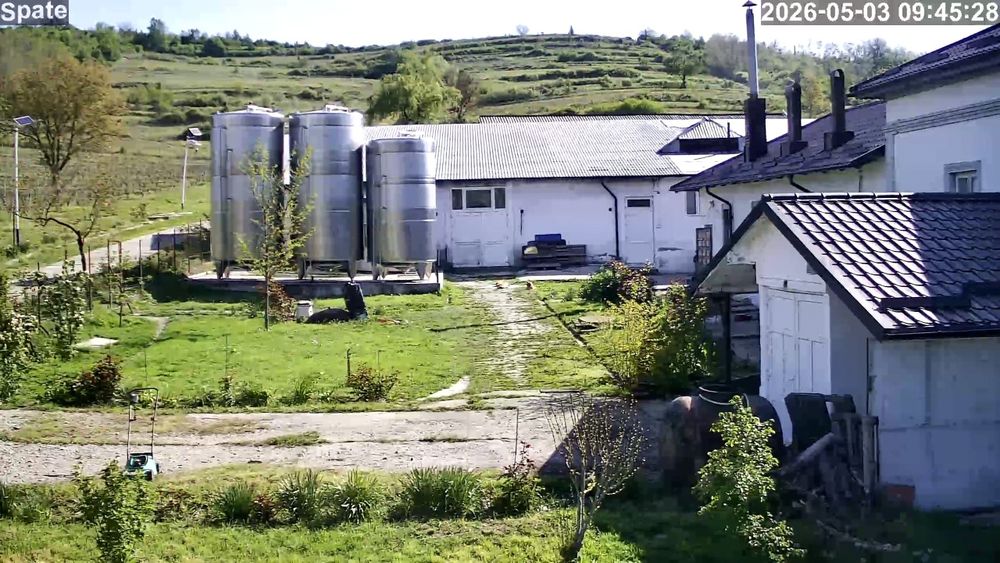 Vând domeniu Viticol si Crama in podgoria Dragasani