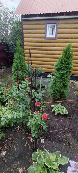 Продам дачу в дачном обществе ПК СТ Борки