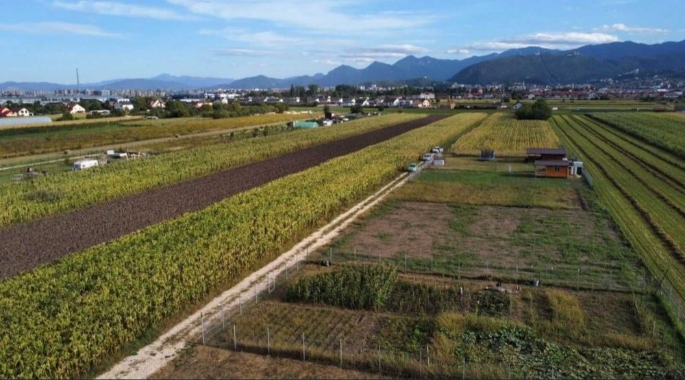 Teren intravilan 657 mp in Brașov, str Aron Pumnu