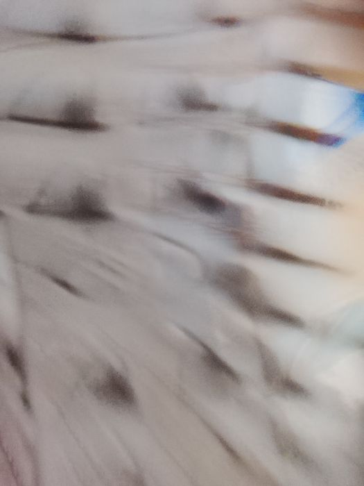 Бурки. Чудо бурки