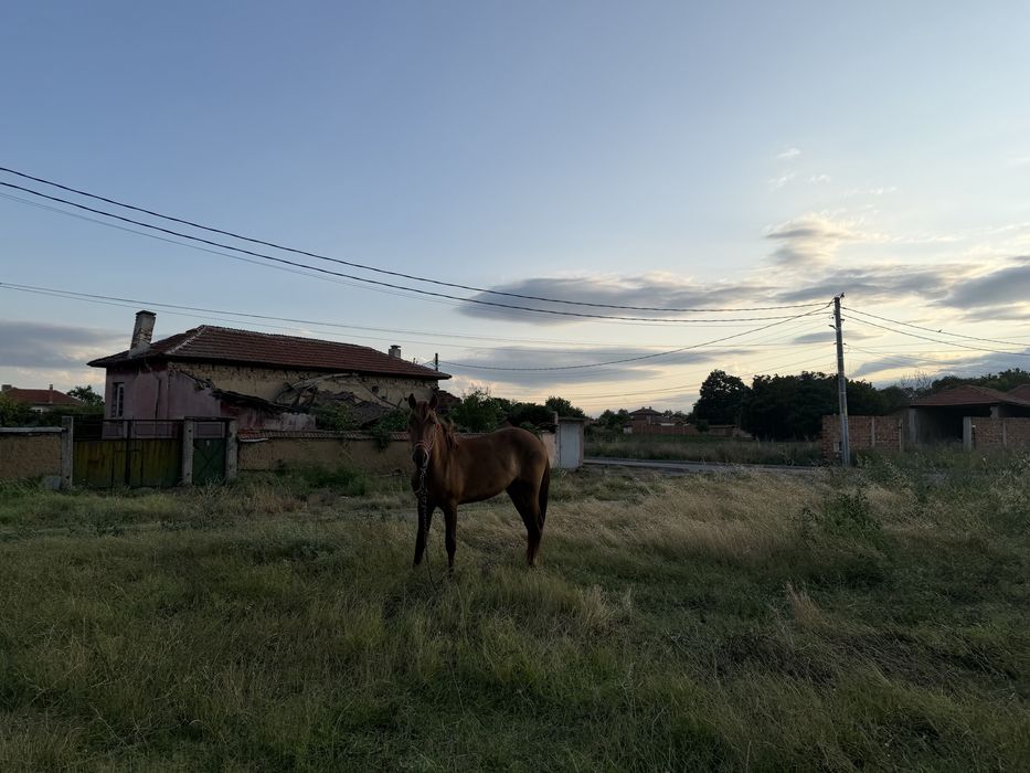 Продавам конче .