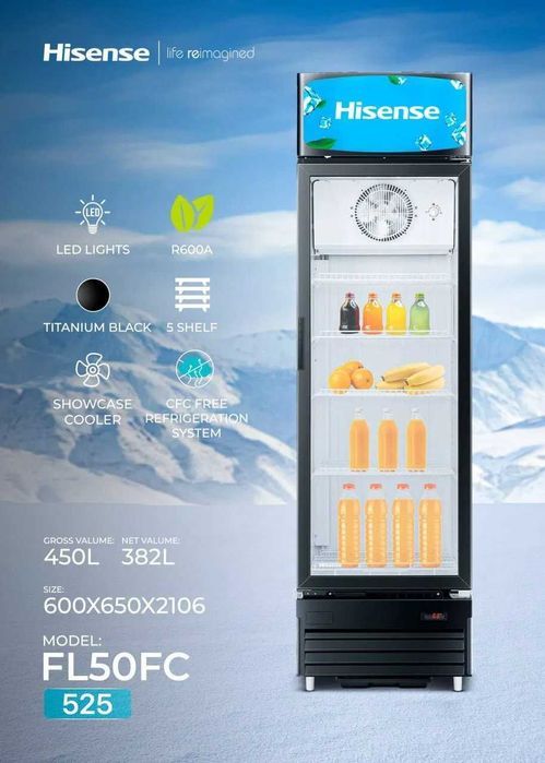Витринный холодильник Hisense FL50FC 382 литра