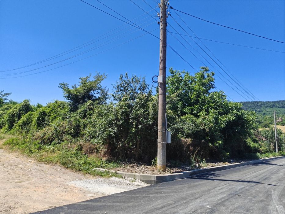 Дворно място с. Славейково