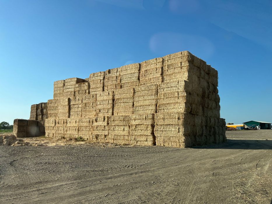 Baloți pătrați de paie