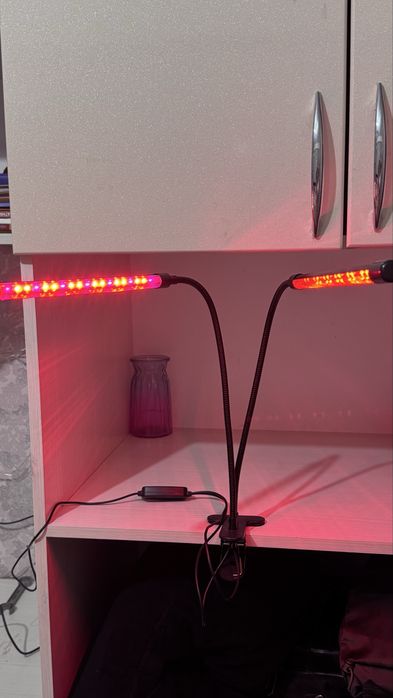 Продам фитосветильники