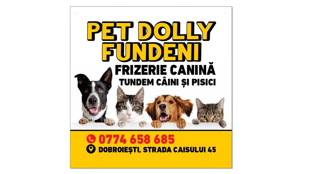 Tund caini și pisici la Domiciliu și la Salon,Taxi