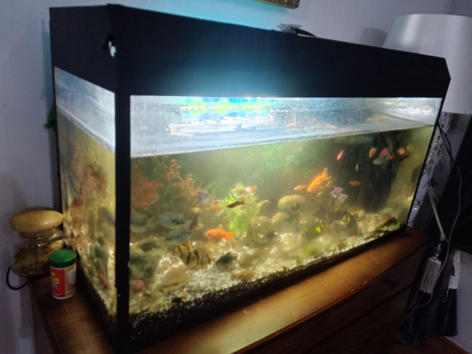 Аквариум 120л с рыбками